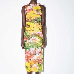 Zara Printed Tulle Dress